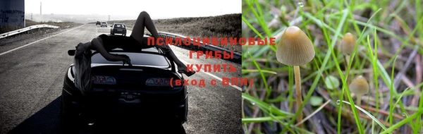 ALPHA PVP Алзамай