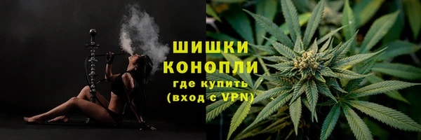 PSILOCYBIN Абдулино