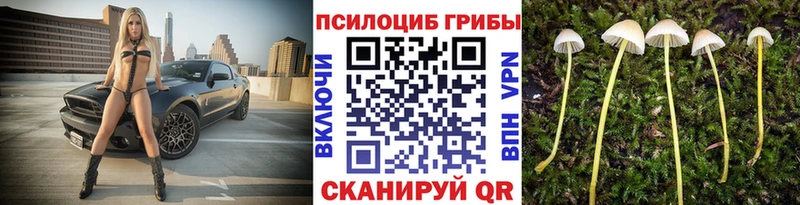 Псилоцибиновые грибы мухоморы  Хадыженск 